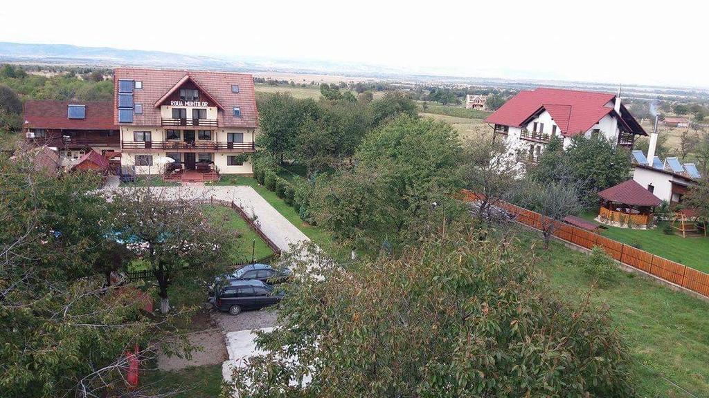 Pensiunea Roua Muntilor Simbata de Sus Exterior photo